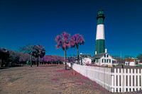 _MG_1521-Edit
