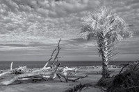 _DSC0187-Edit-2