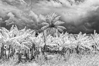 _C7A9760_Nik_DxO