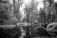 Magnolia Gardens 1