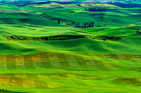_DSC2744-Edit