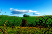_DSC2725-Edit