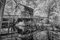 _IR71501-Edit