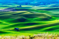 _DSC2806_Nik_DxO