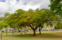 _B7A5330_DxO