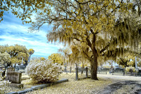 Magnoliaa Cemetery 1
