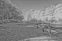 _DSC0356-Edit-Edit