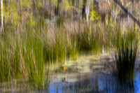 _C7A1192 - Copy