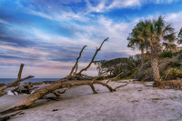 _7R31394-Edit_HDR-Edit