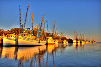 Darien Shrimp fleet