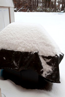 No BBQ today