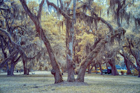 _IR71558-Edit