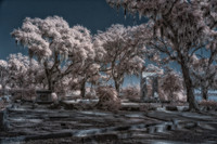 _MG_1580-Edit