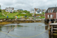 _DSC4566