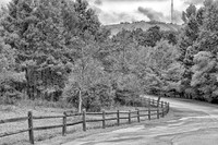 _MG_1204-Edit-Edit_DxO