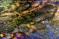 _C7A6834-Edit