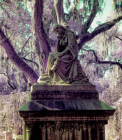 _MG_1589-Edit