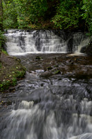 _DSC6156