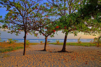 9- Beach