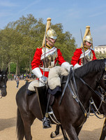 Horse Guards 3