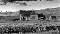 _DSC2653_Nik_DxO