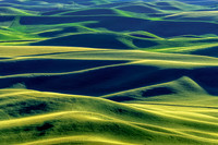_DSC2877-Edit