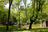 _C7A8332_DxO