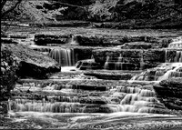 _7R33173_Nik