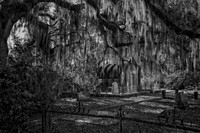_7R31583-Edit-Edit