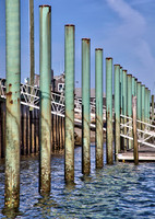 Wllfleet Harbor 1