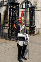 Horse guards 2